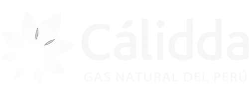 Total Energy